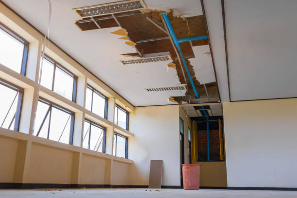 Best Mold removal after water damage  in Bangor Base, WA