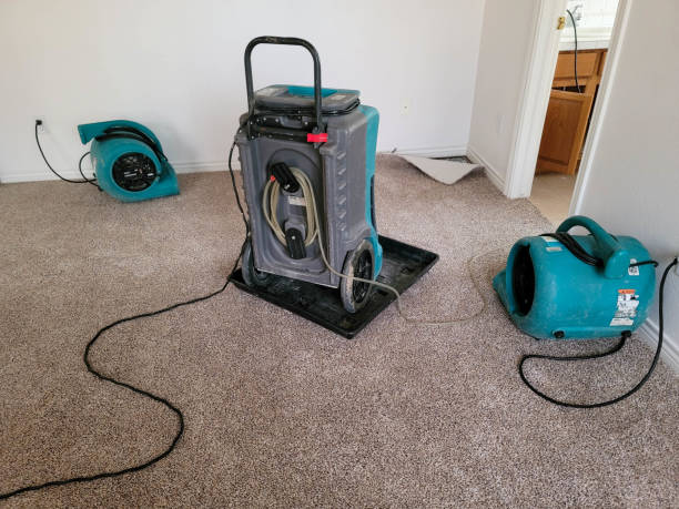 Best Ceiling water damage repair  in Bangor Base, WA