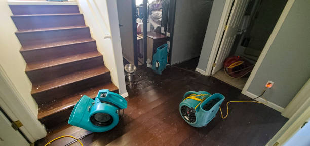 Best Sewage cleanup and water damage restoration  in Bangor Base, WA